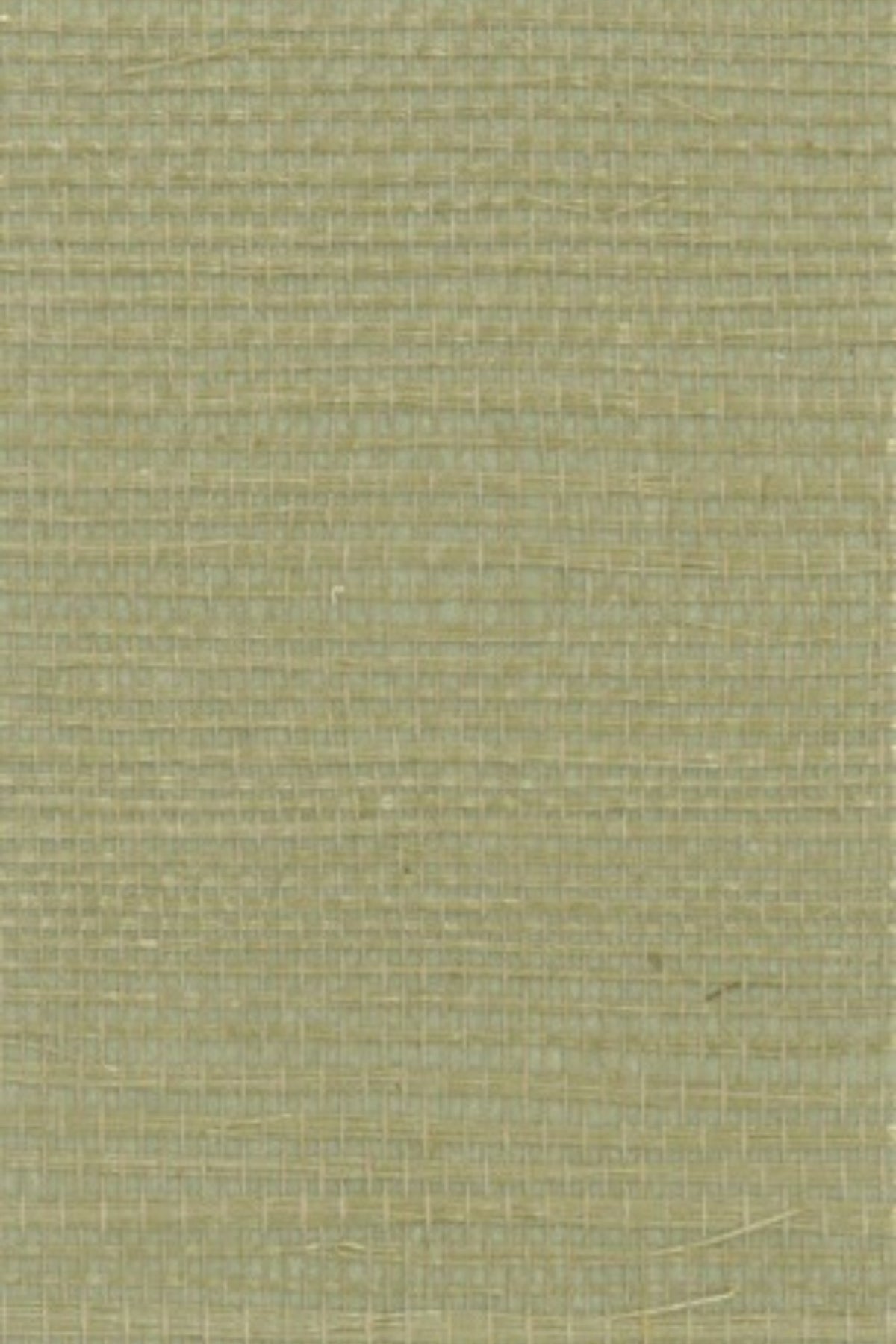 NS1176 Sage