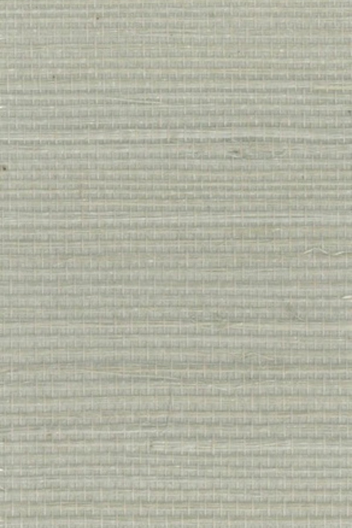 NS1177 Silver Blue