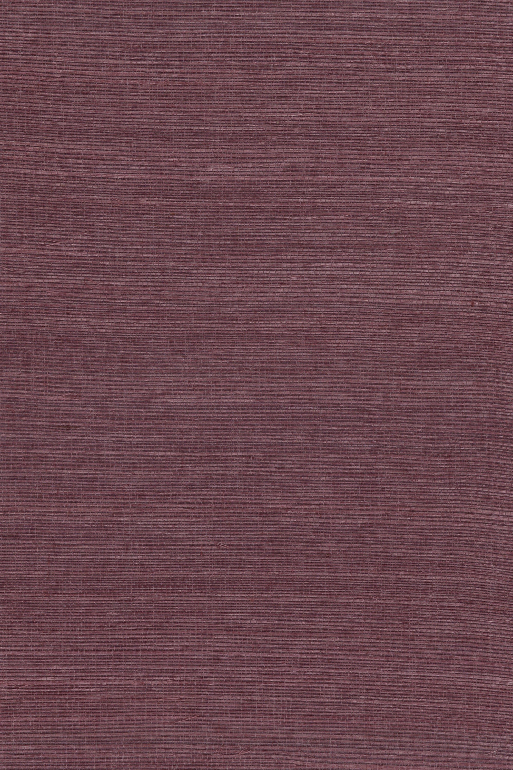 NS1183 Pickled Beet