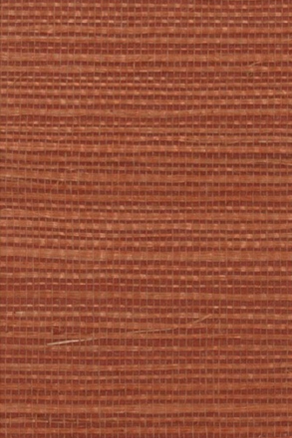 NS1185 Pomegranate
