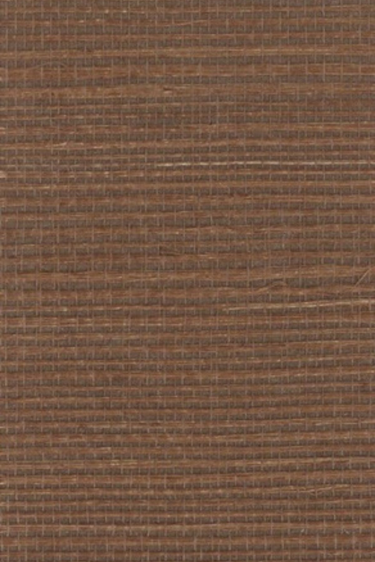 NS1187 Brownie