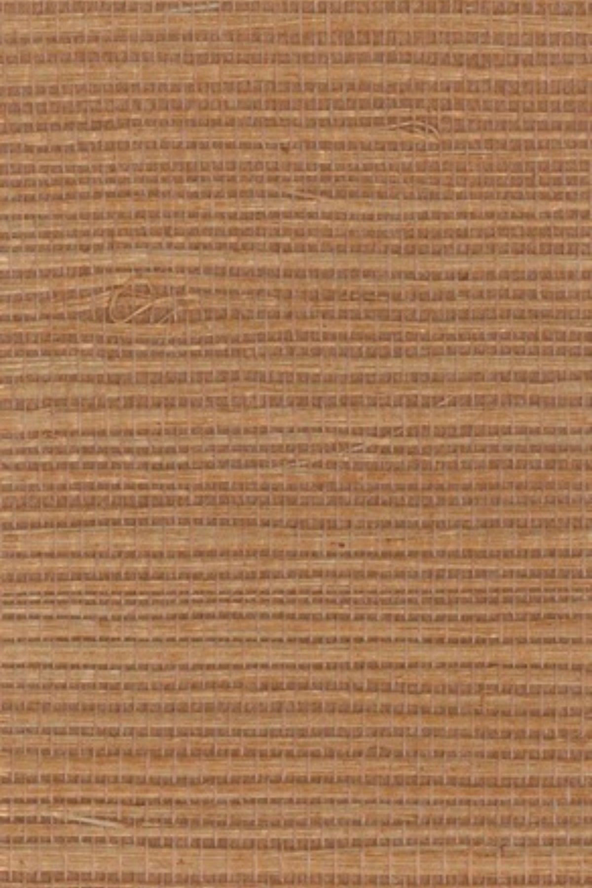 NS1188 Hazel
