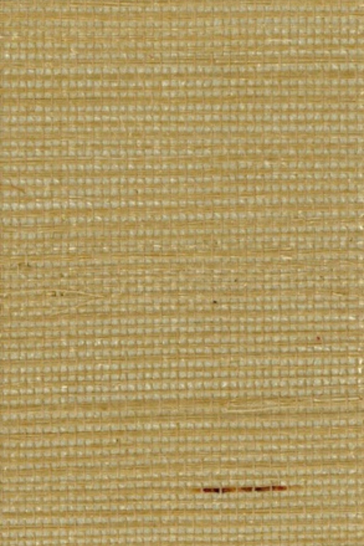 NS2000 Misted Yellow