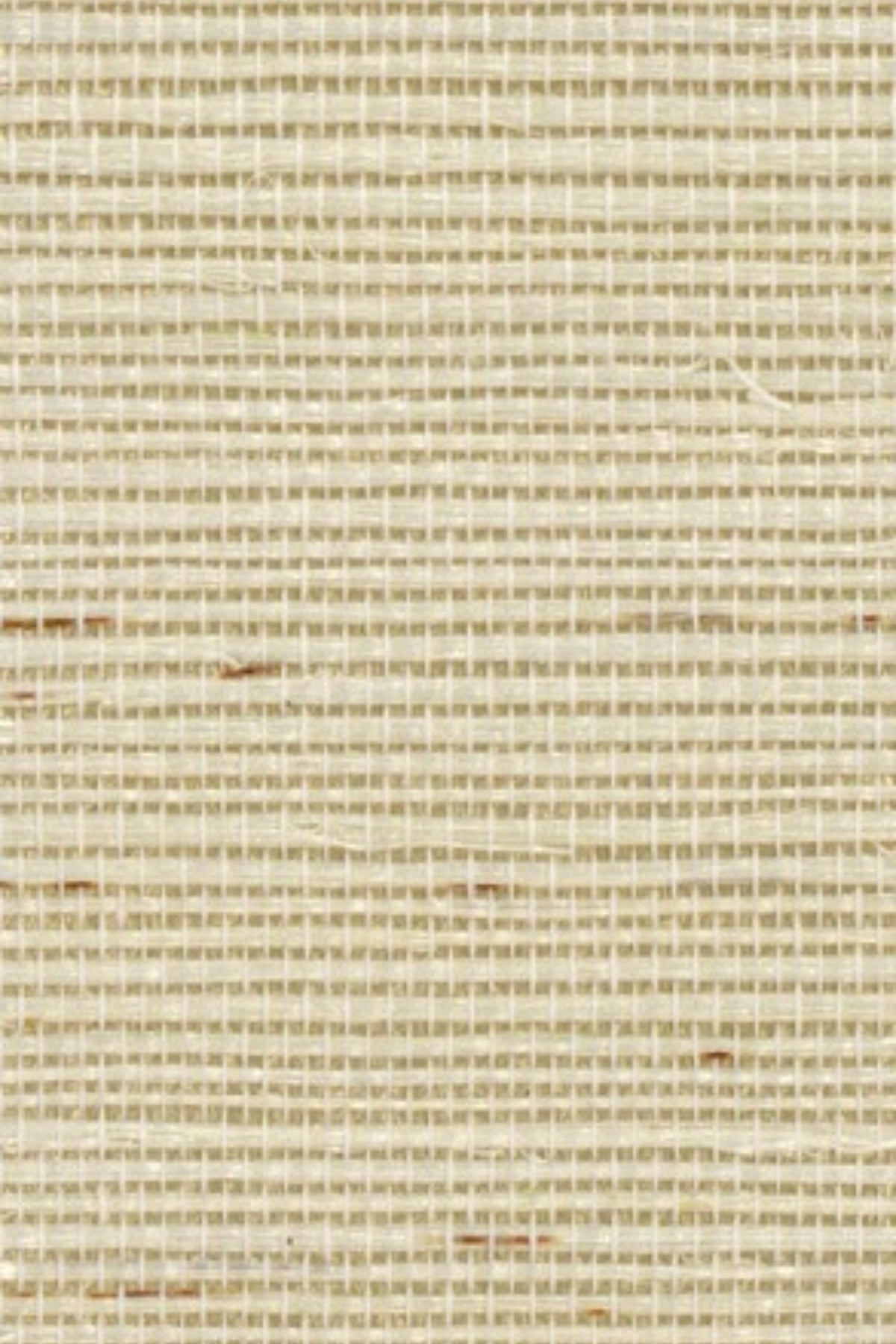 NS2016 Rough Beige