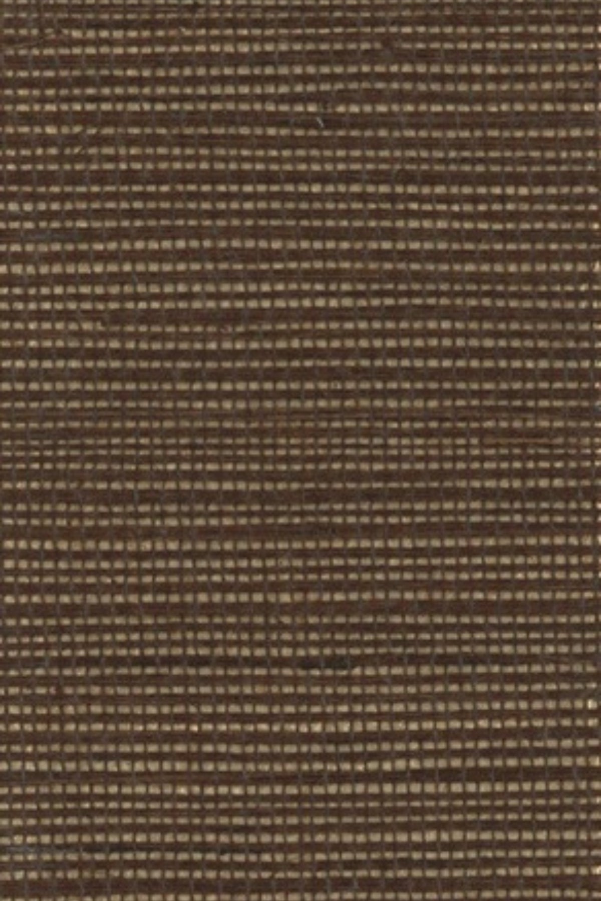NS2031 Friar Brown