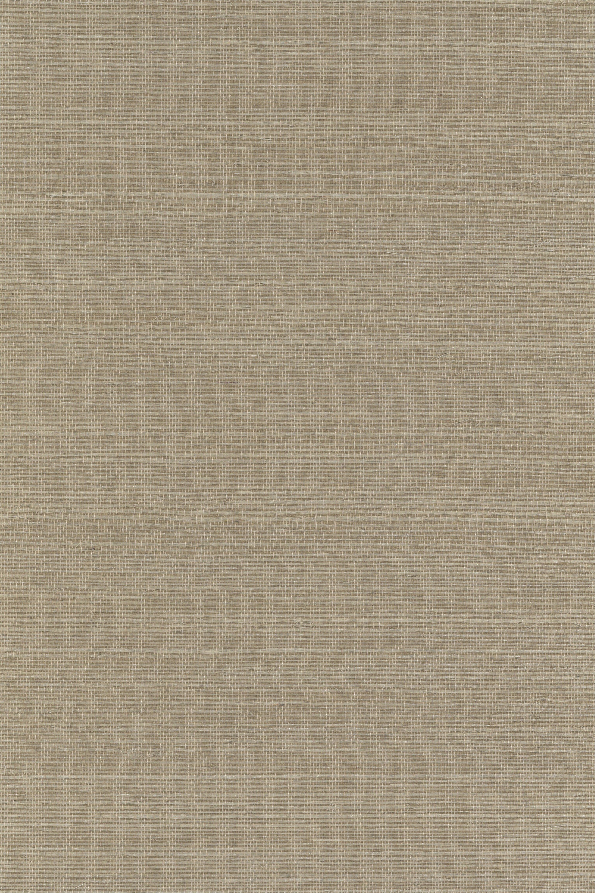 NS3057 Feather Gray