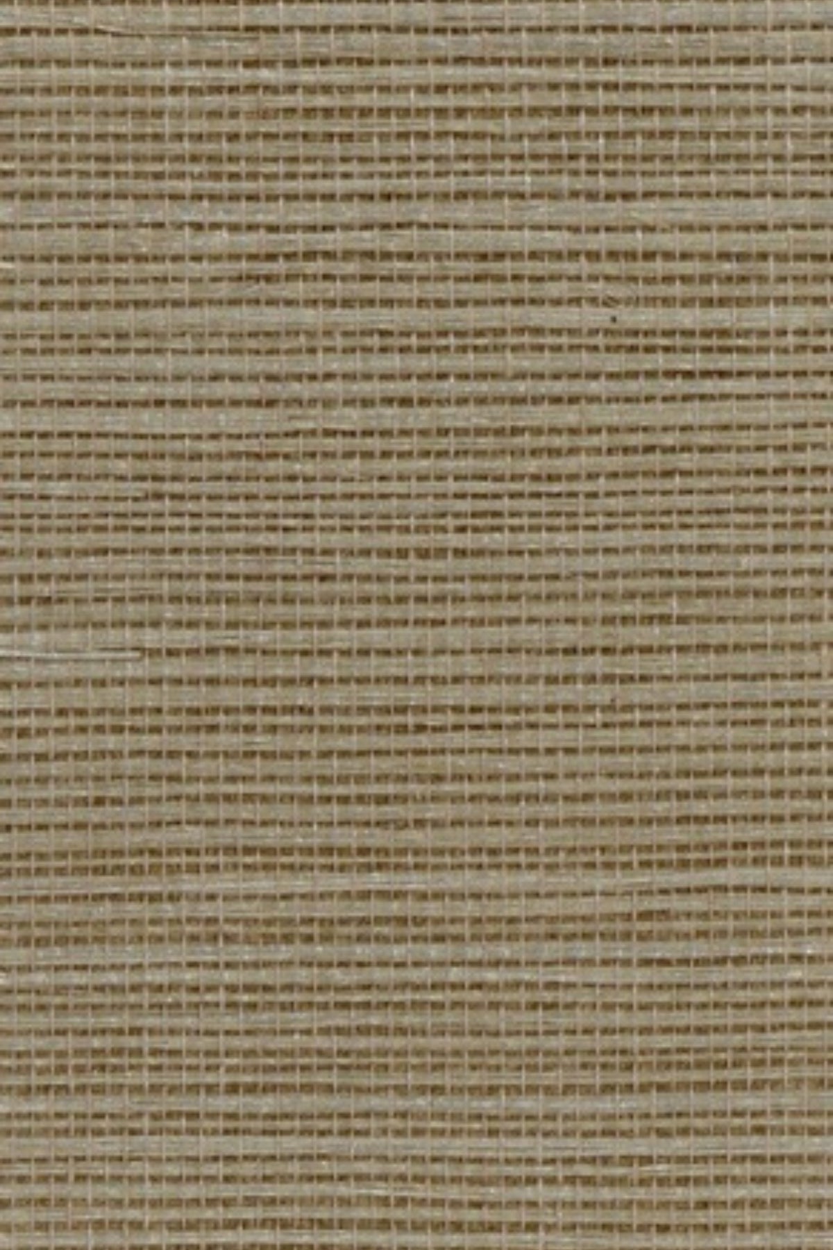 NS3057 Wheat Stem