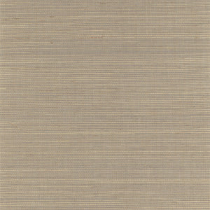 NS3058 Brown Rice