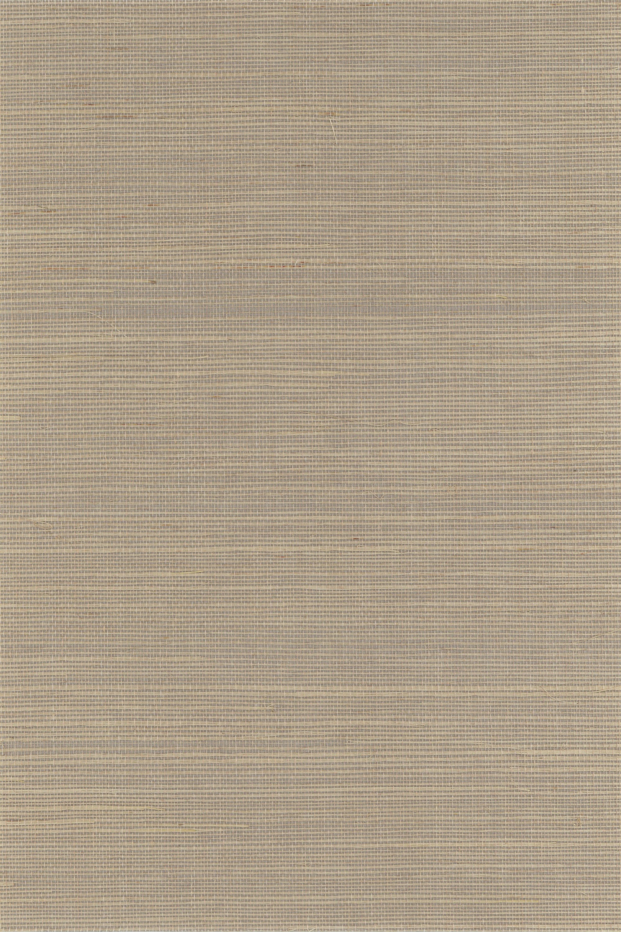 NS3058 Brown Rice