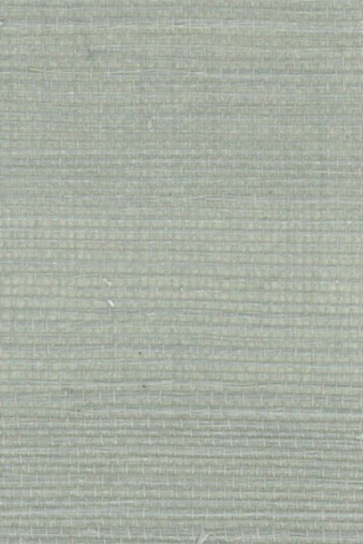 NS3061 Dune Mist