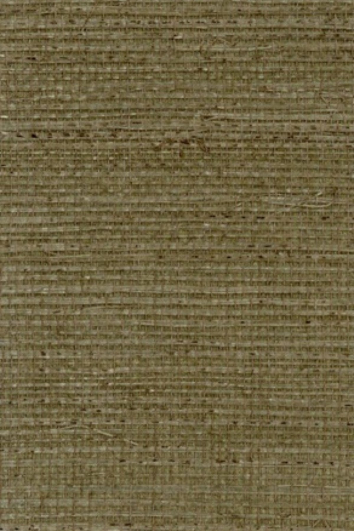 NS3062 Ash Twig