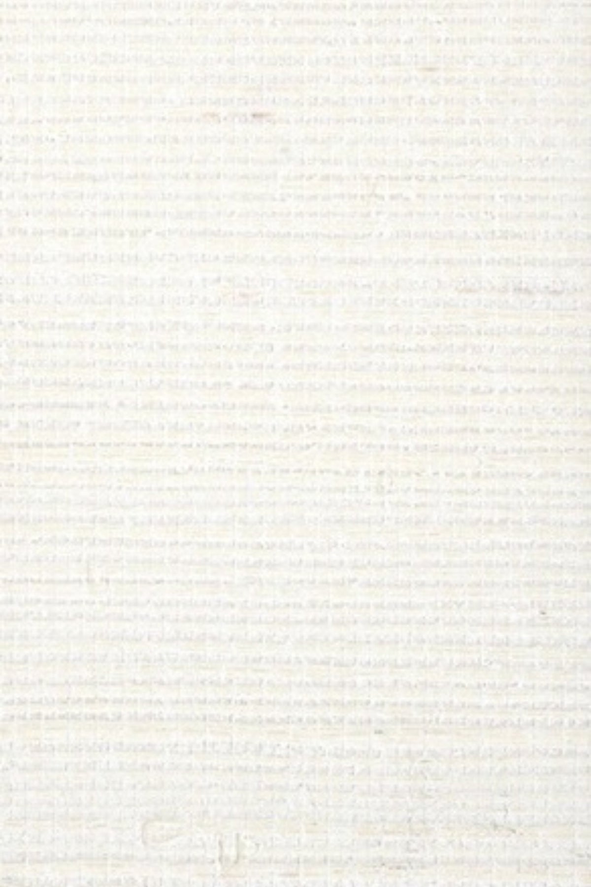 NS3065 Flat White