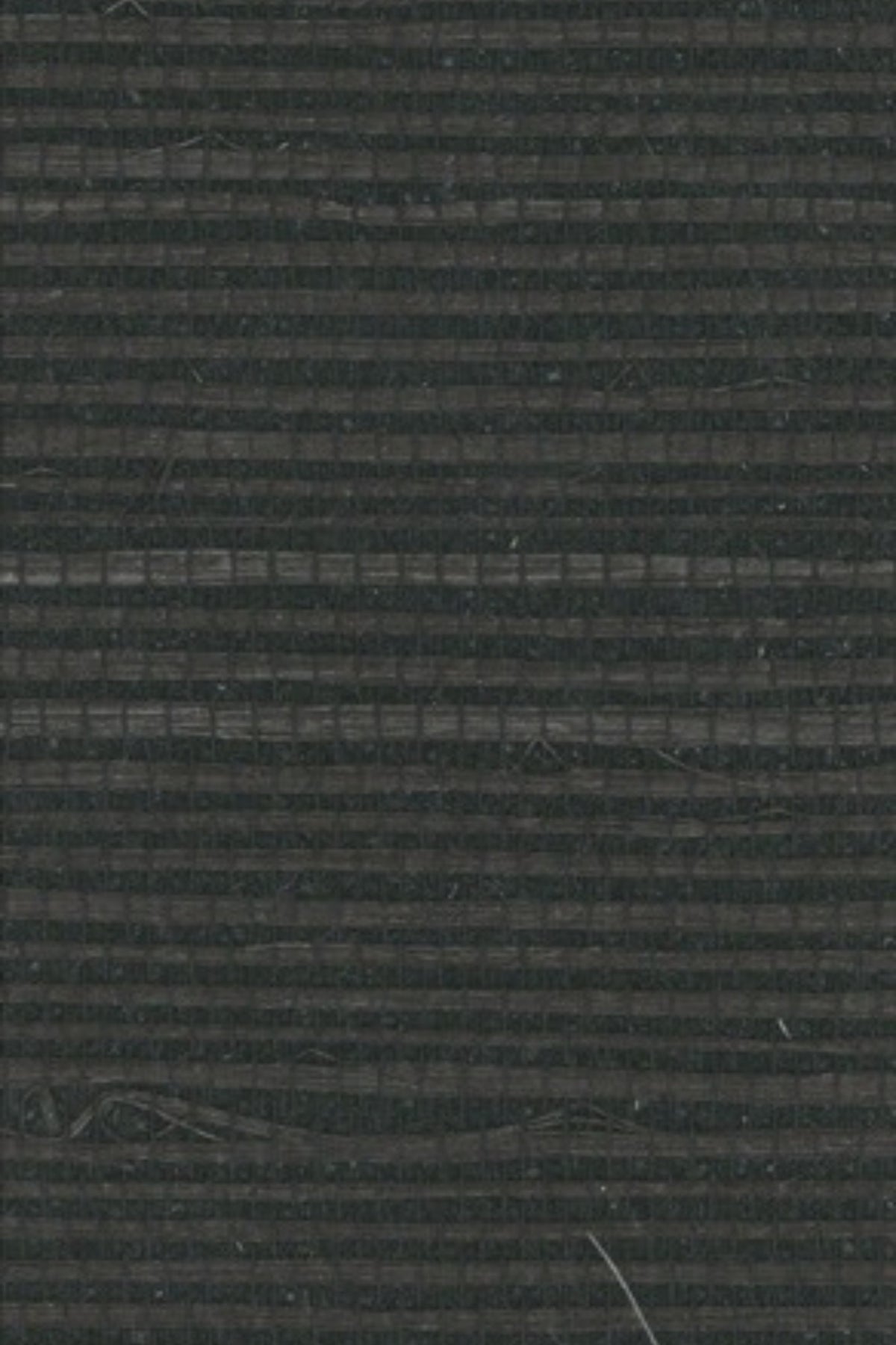 NS5020 Raven Feather
