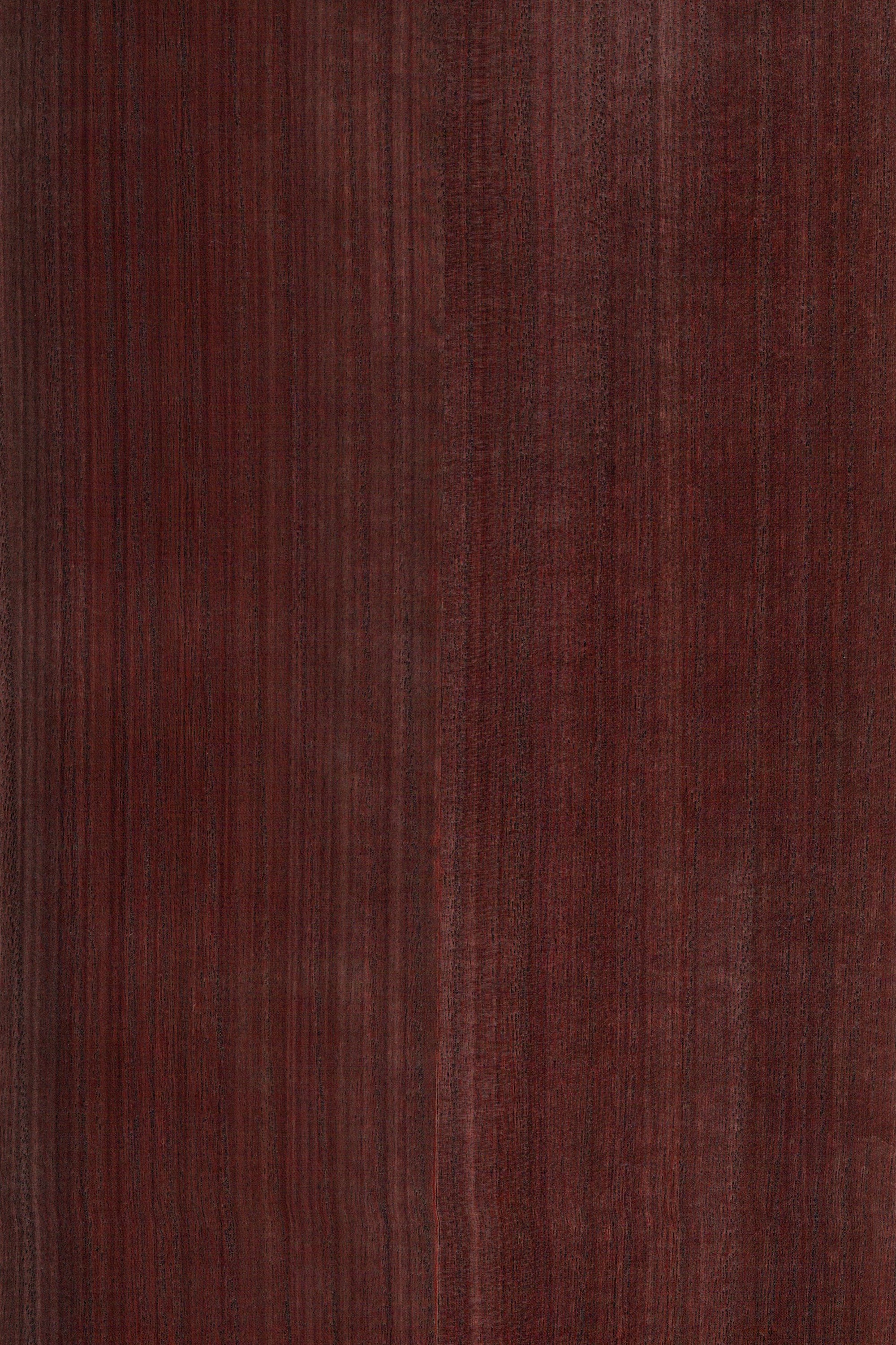 NV1019 Withered Rose