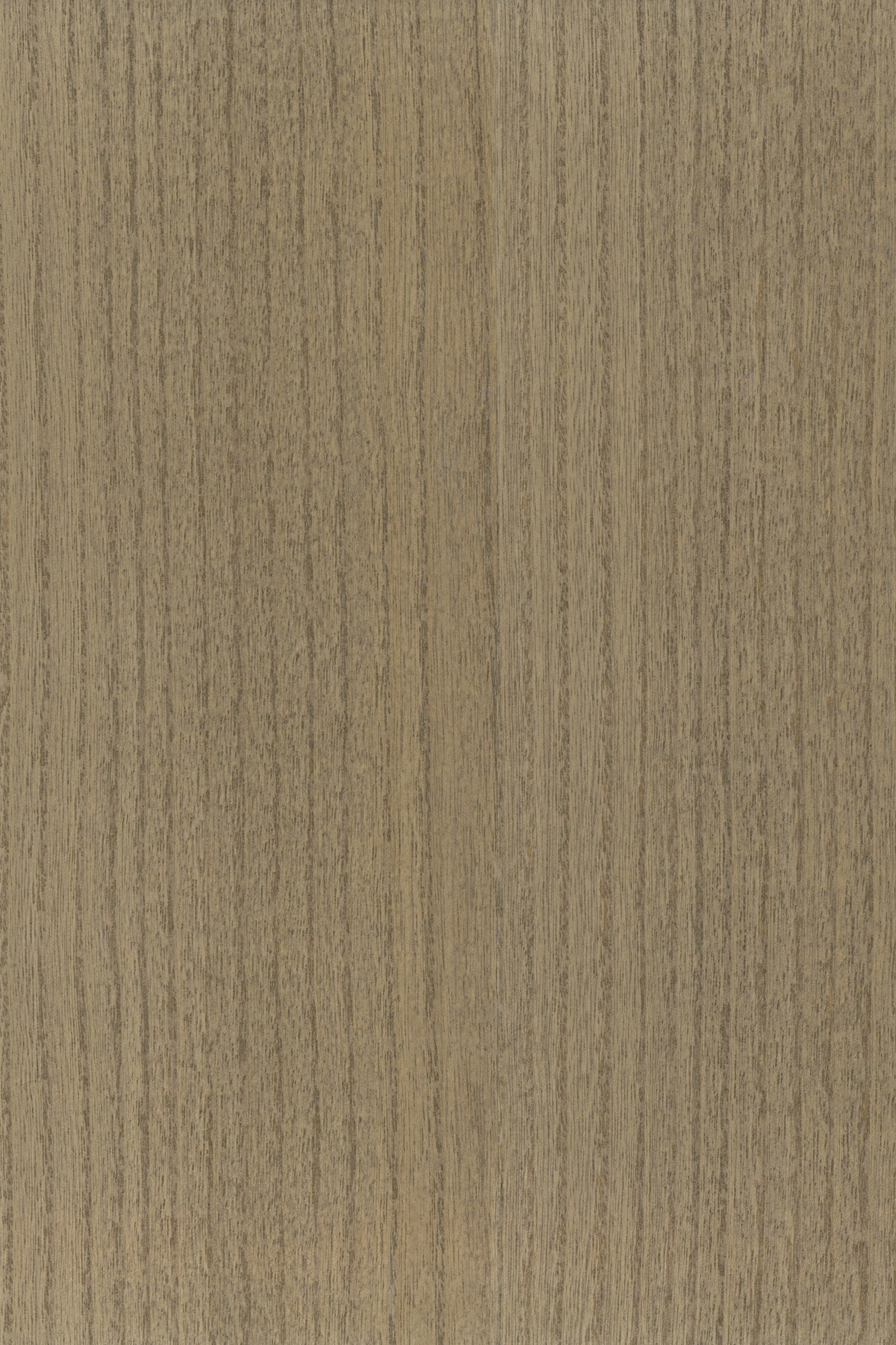 NV1028 Oak Spoke