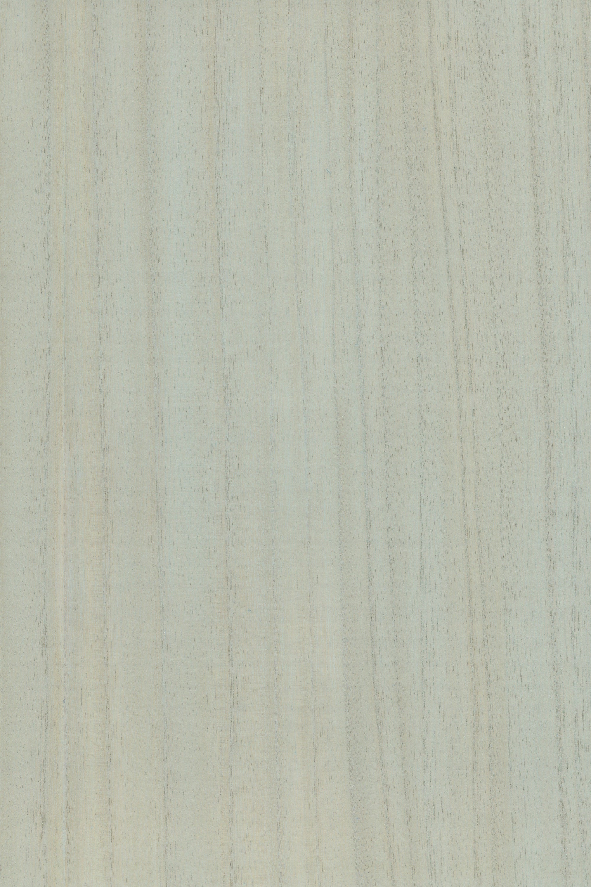 NV1029 Ivory Grandeur
