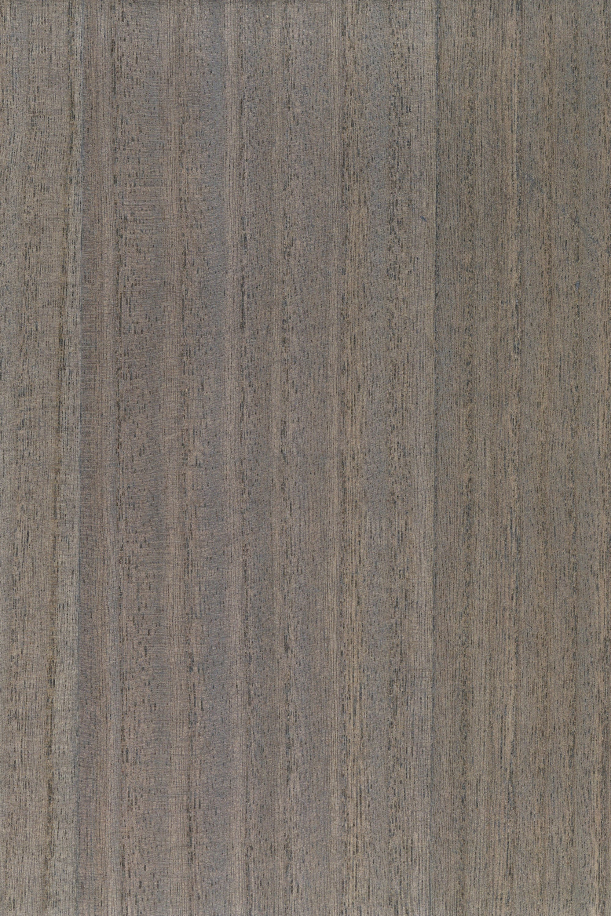 NV1034 Greige