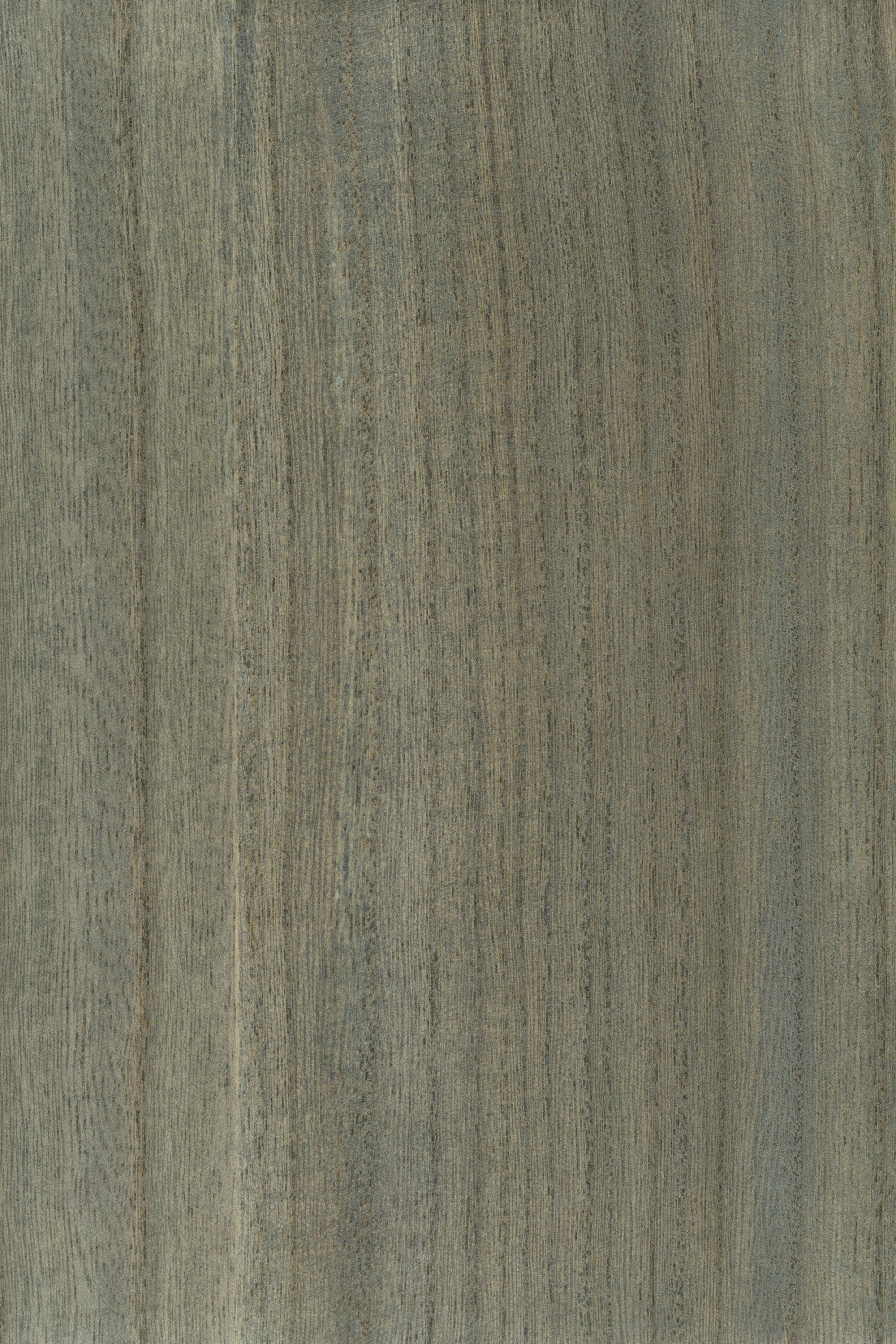 NV1035 Slate Gray
