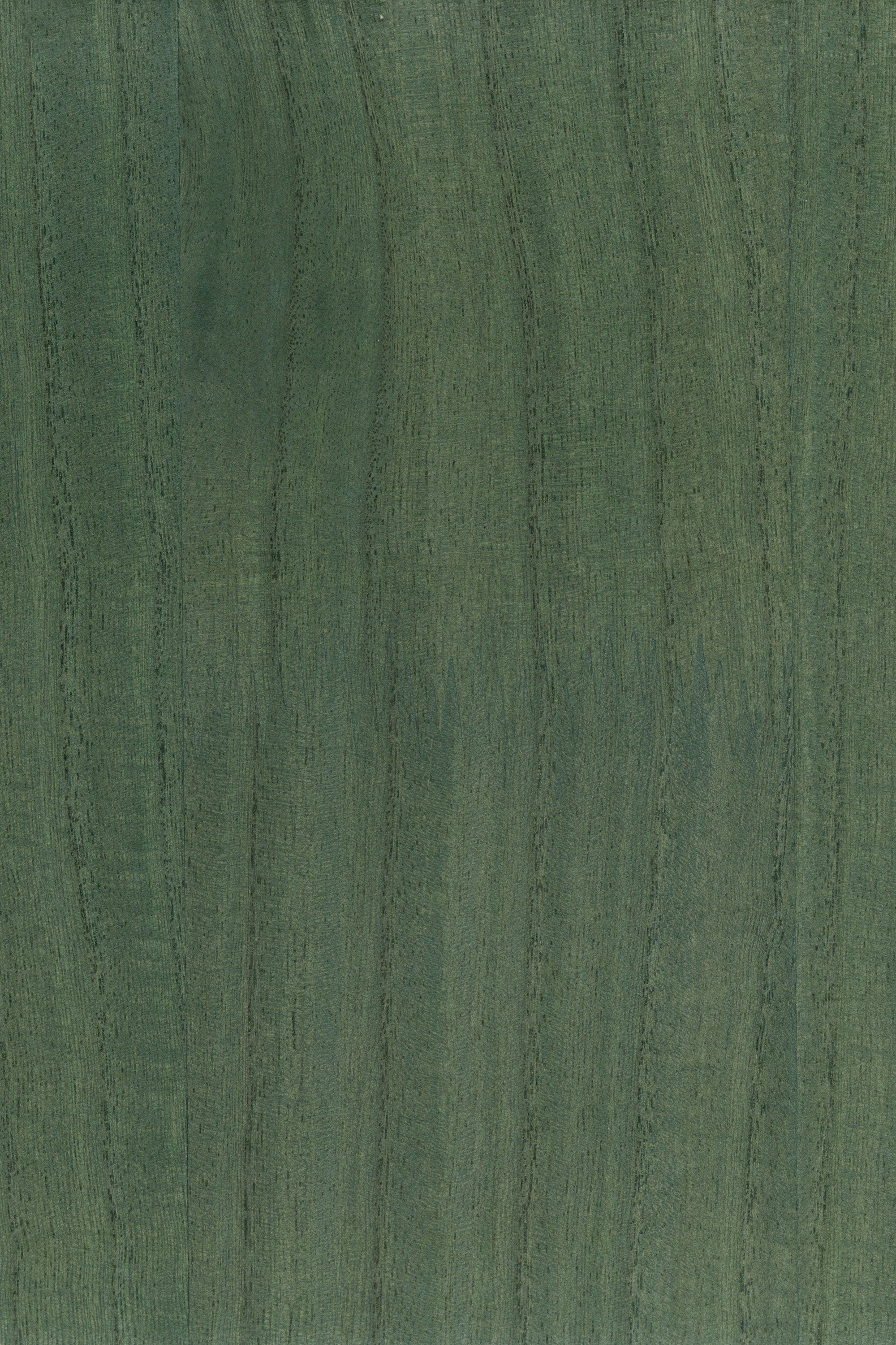 NV1036 Verdant Green