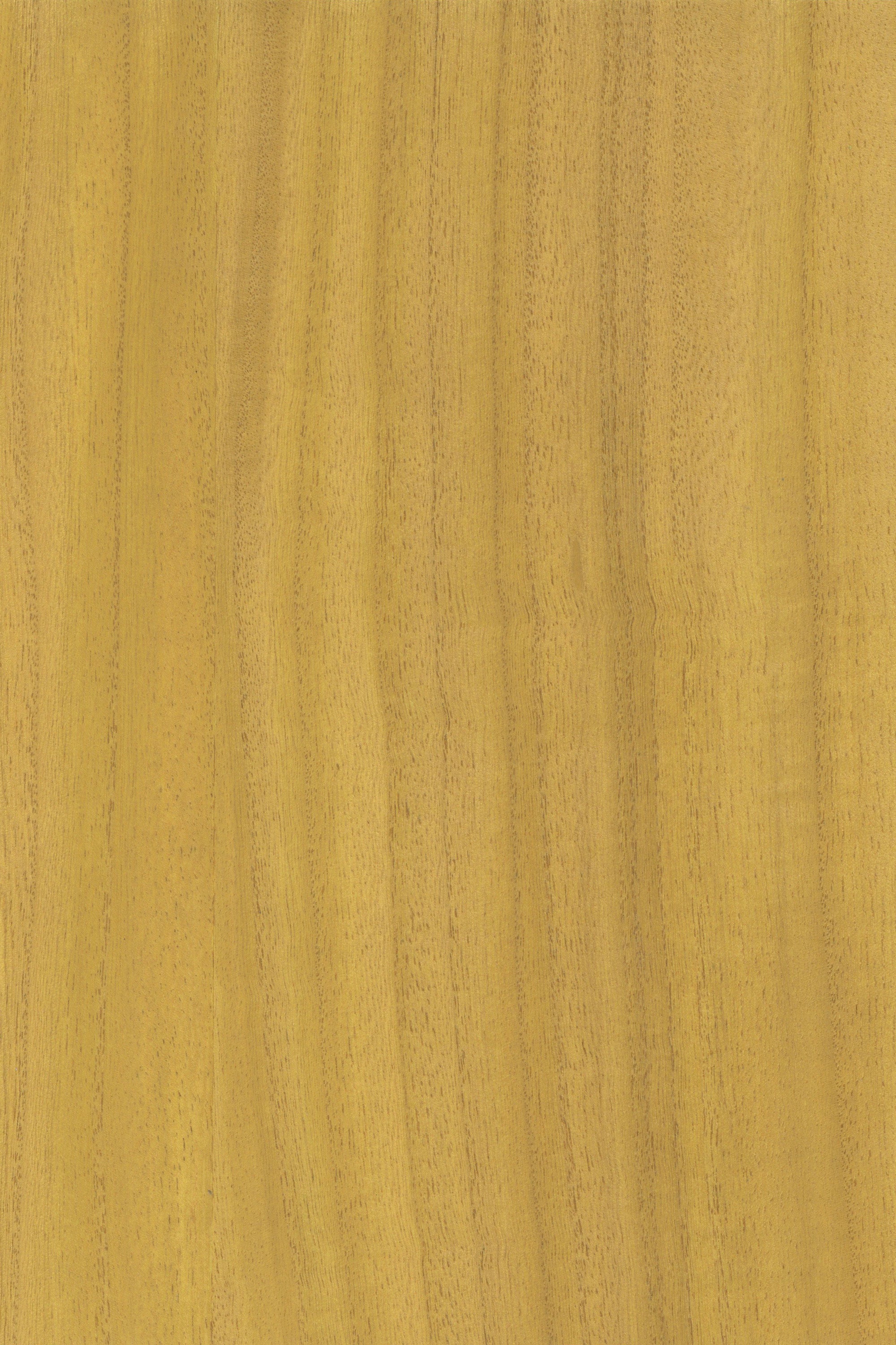 NV1041 Brown Sugar
