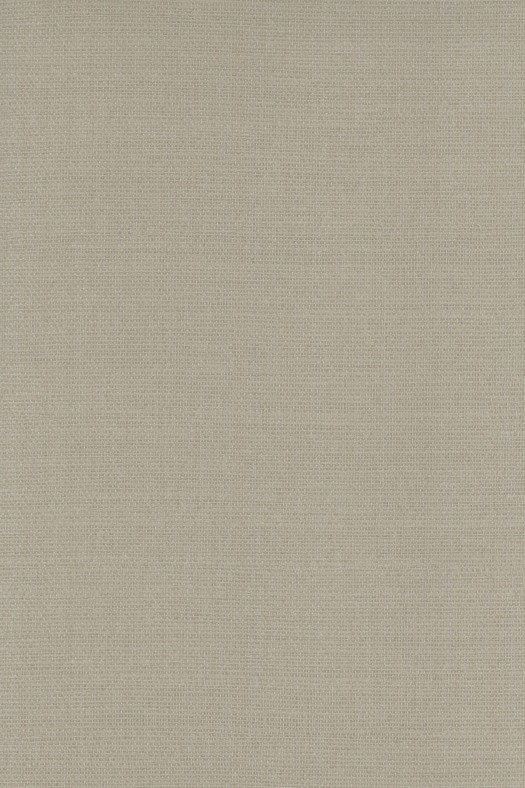 Hemp P1337