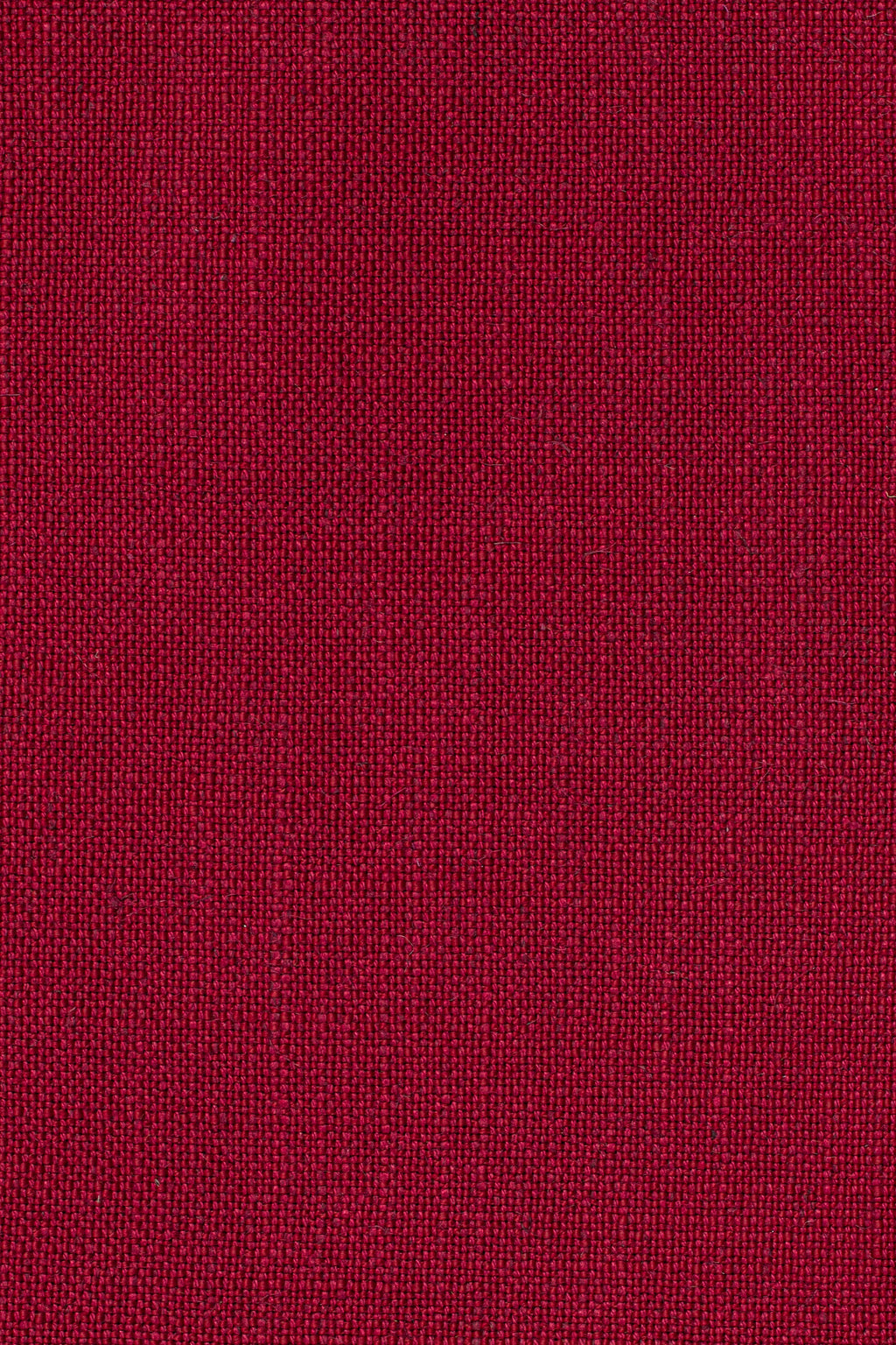 Sahari 204