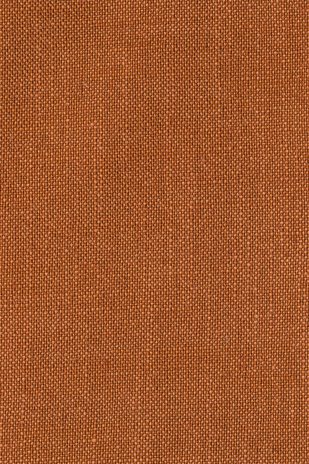 Sahari 302