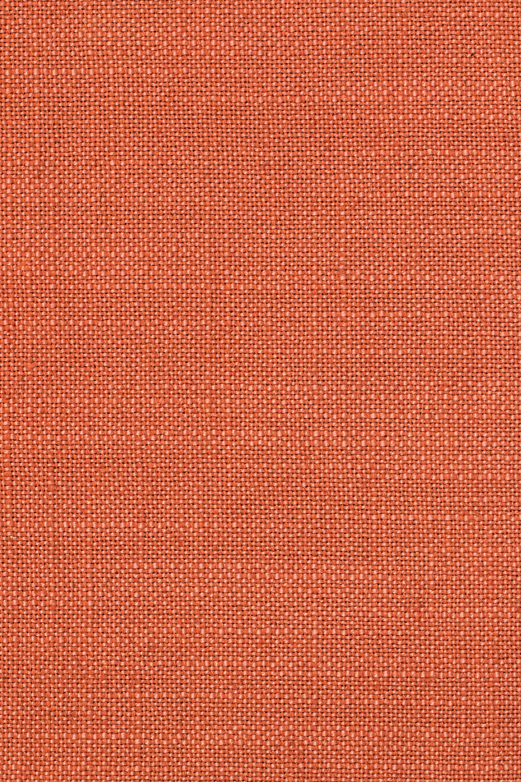 Sahari 306