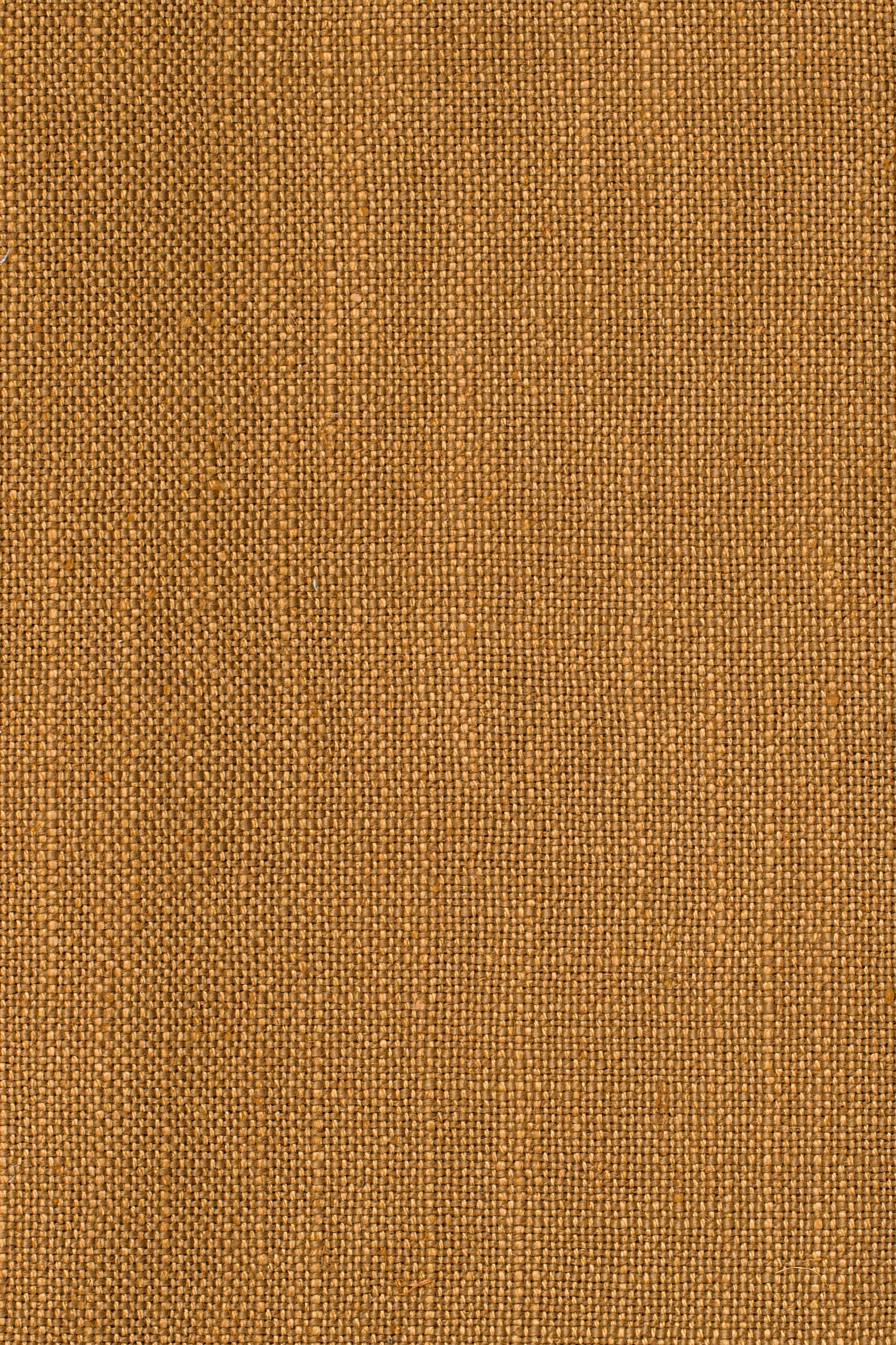 Sahari 402