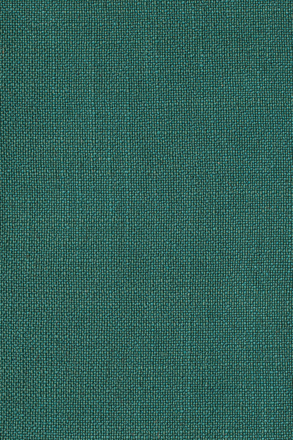 Sahari 502