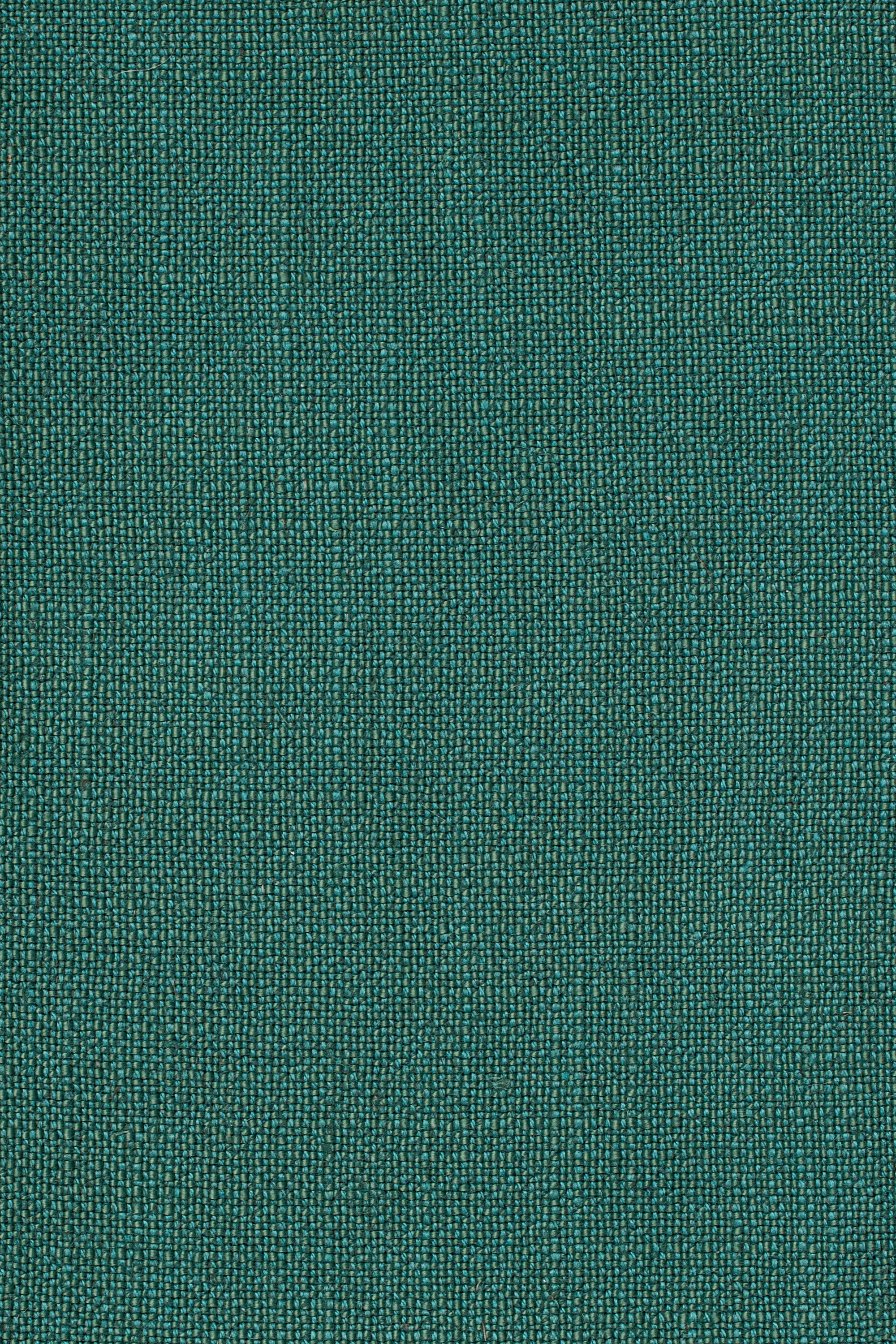 Sahari 502