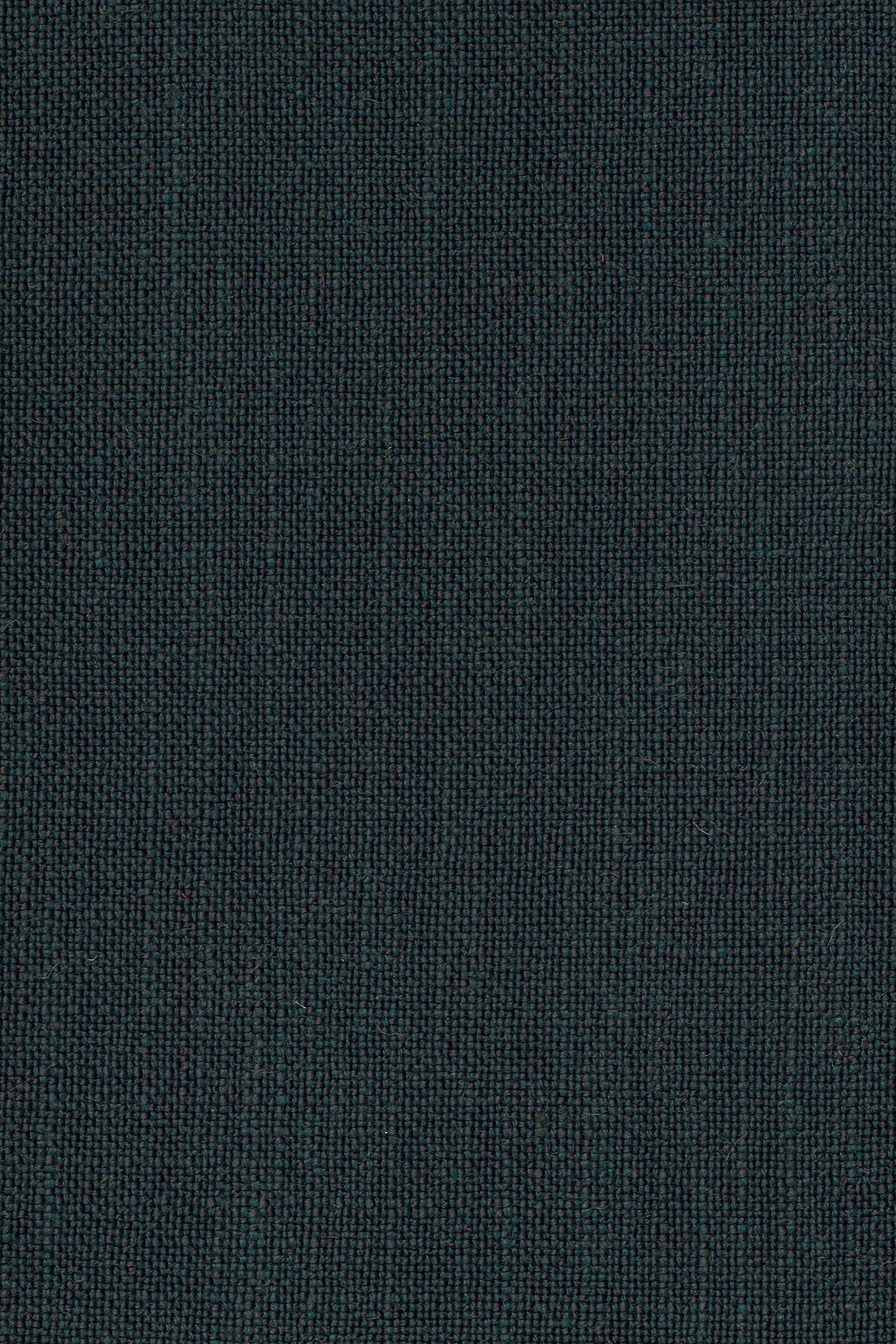 Sahari 503