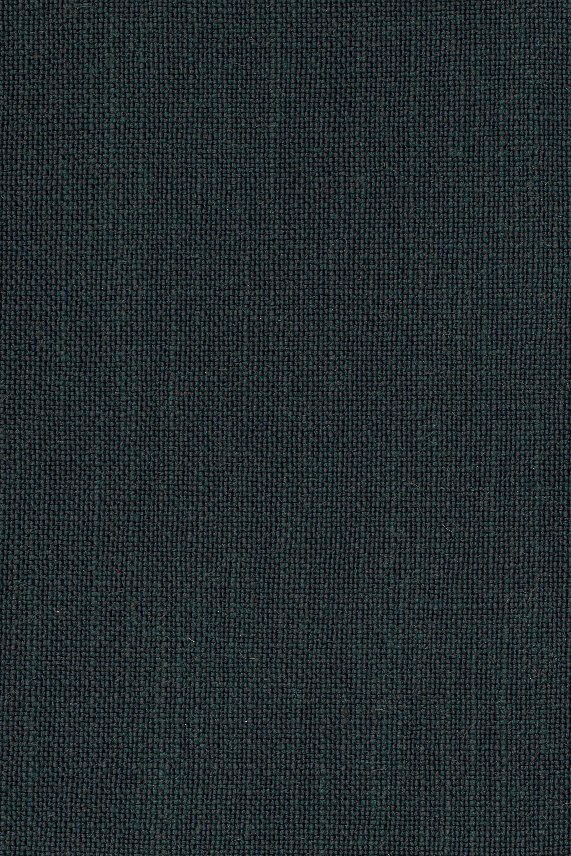 Sahari 503