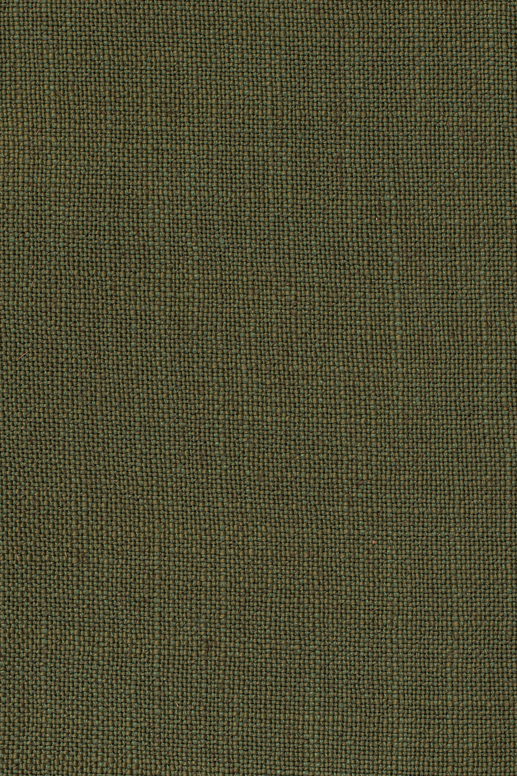 Sahari 505
