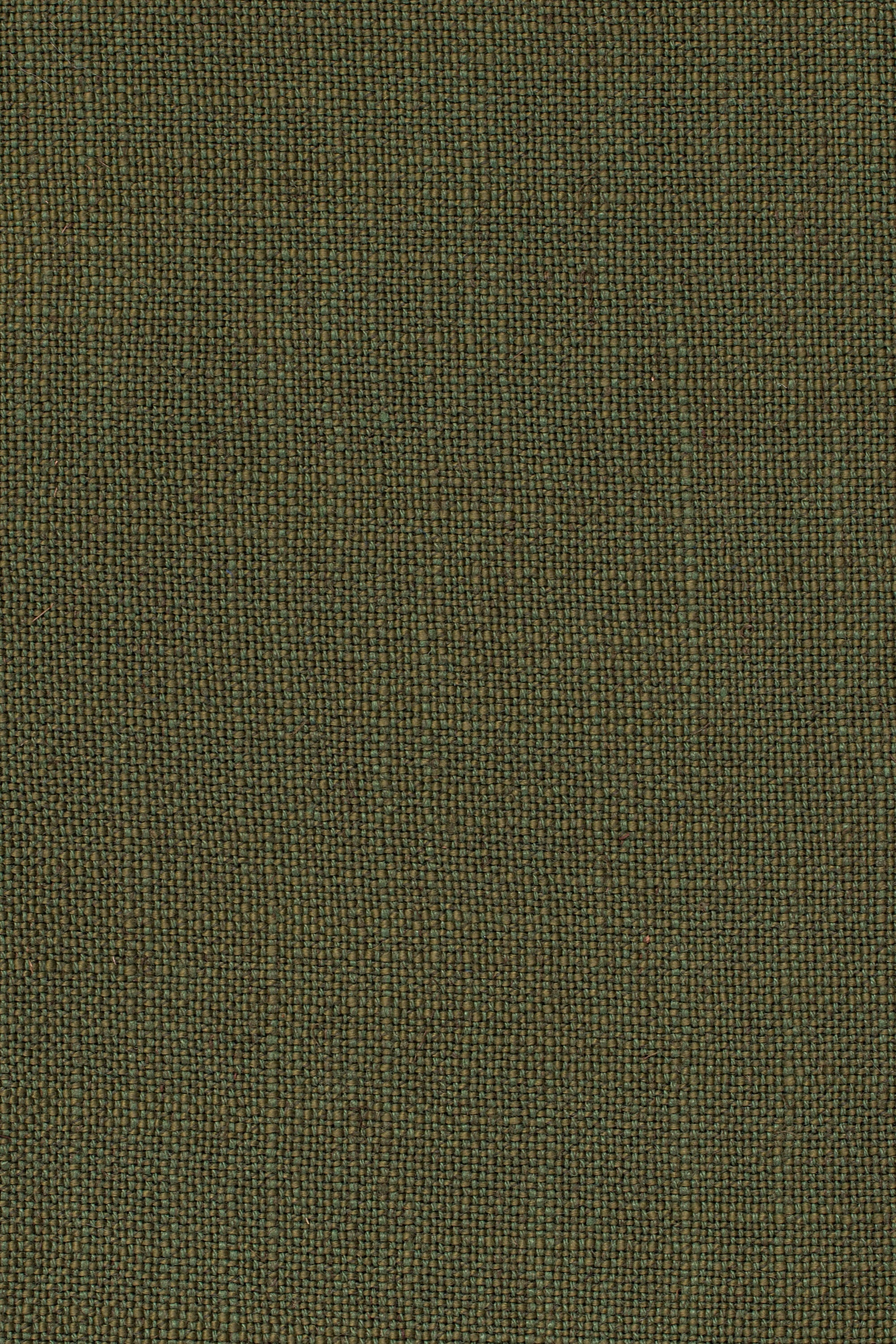 Sahari 505