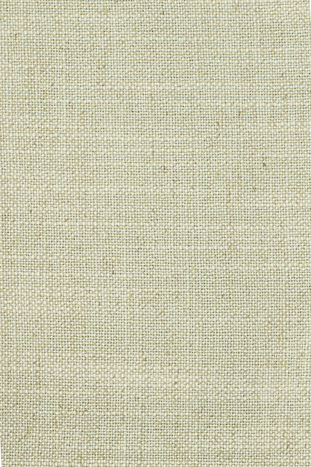 Sahari 509