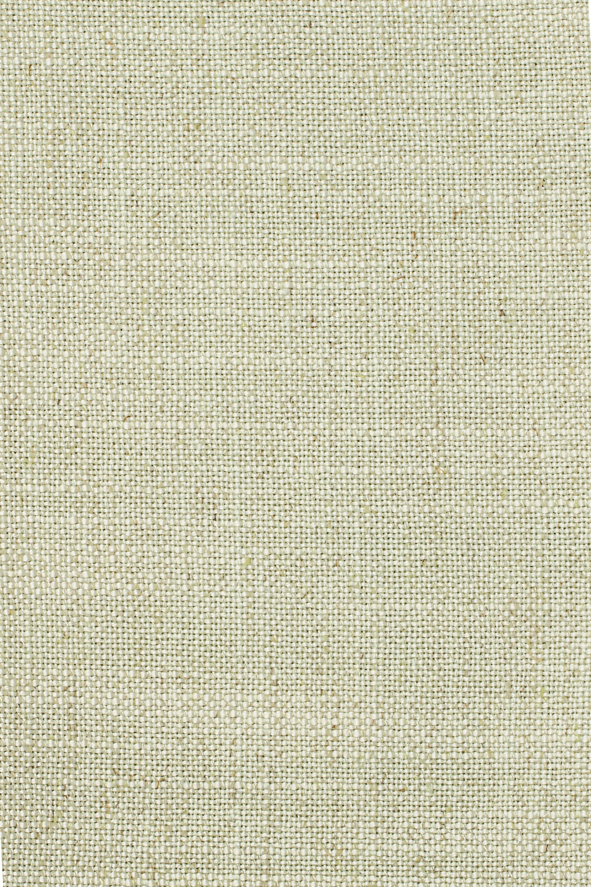 Sahari 509