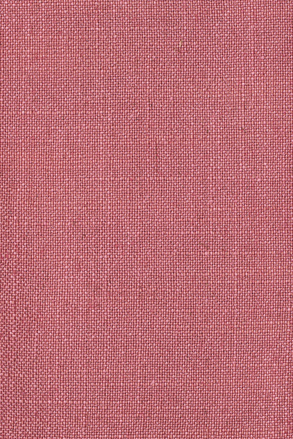 Sahari 701