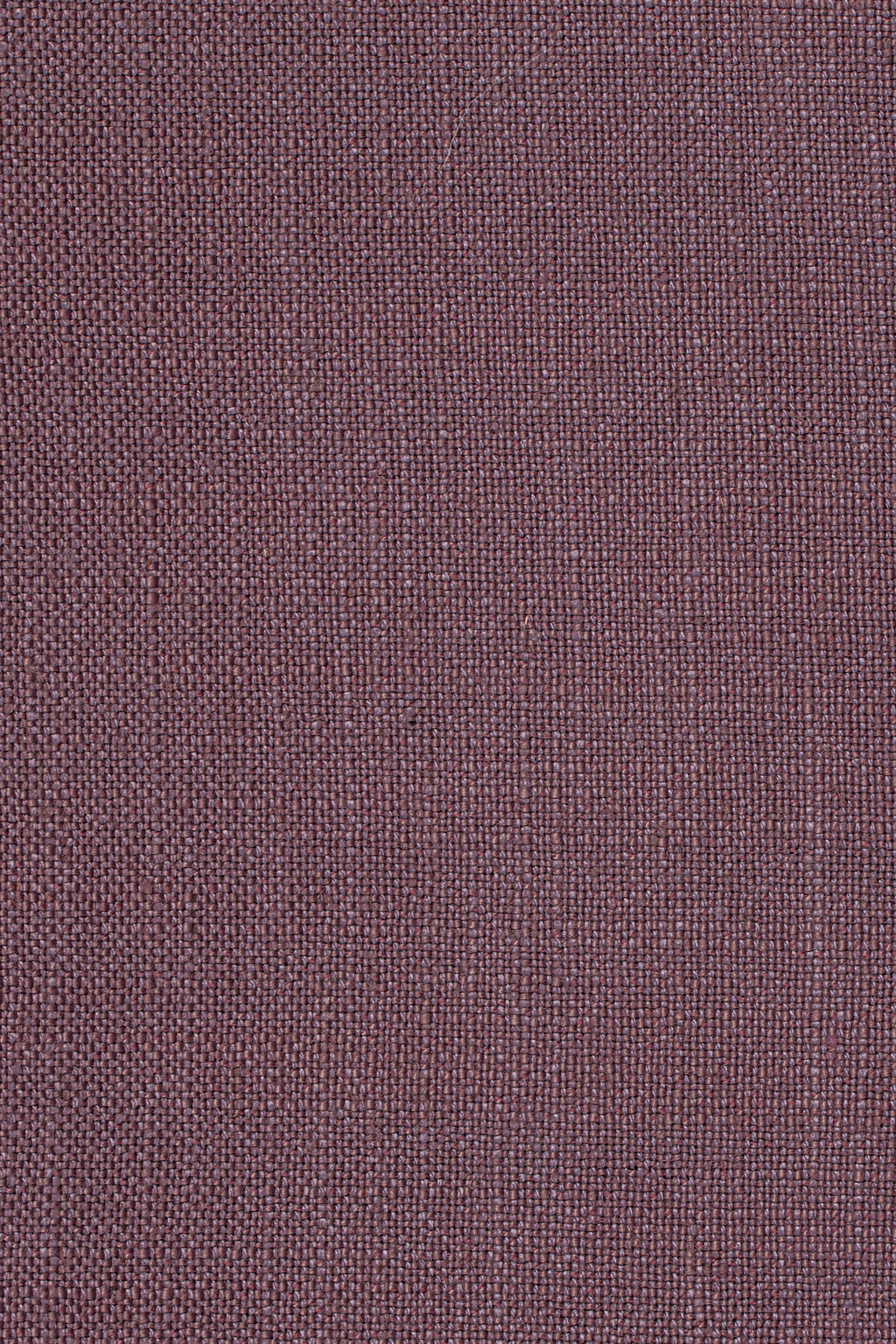 Sahari 703