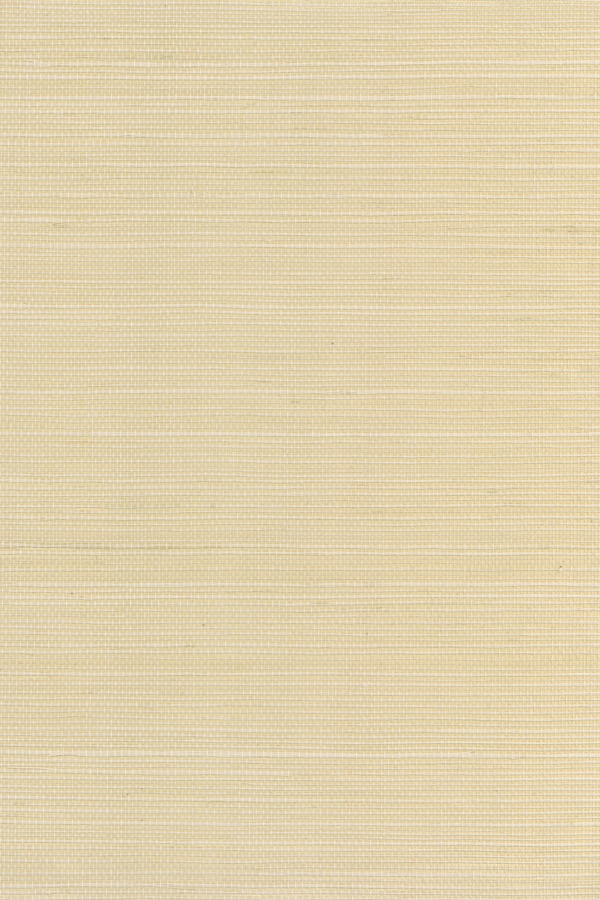 Salina White on Gold
