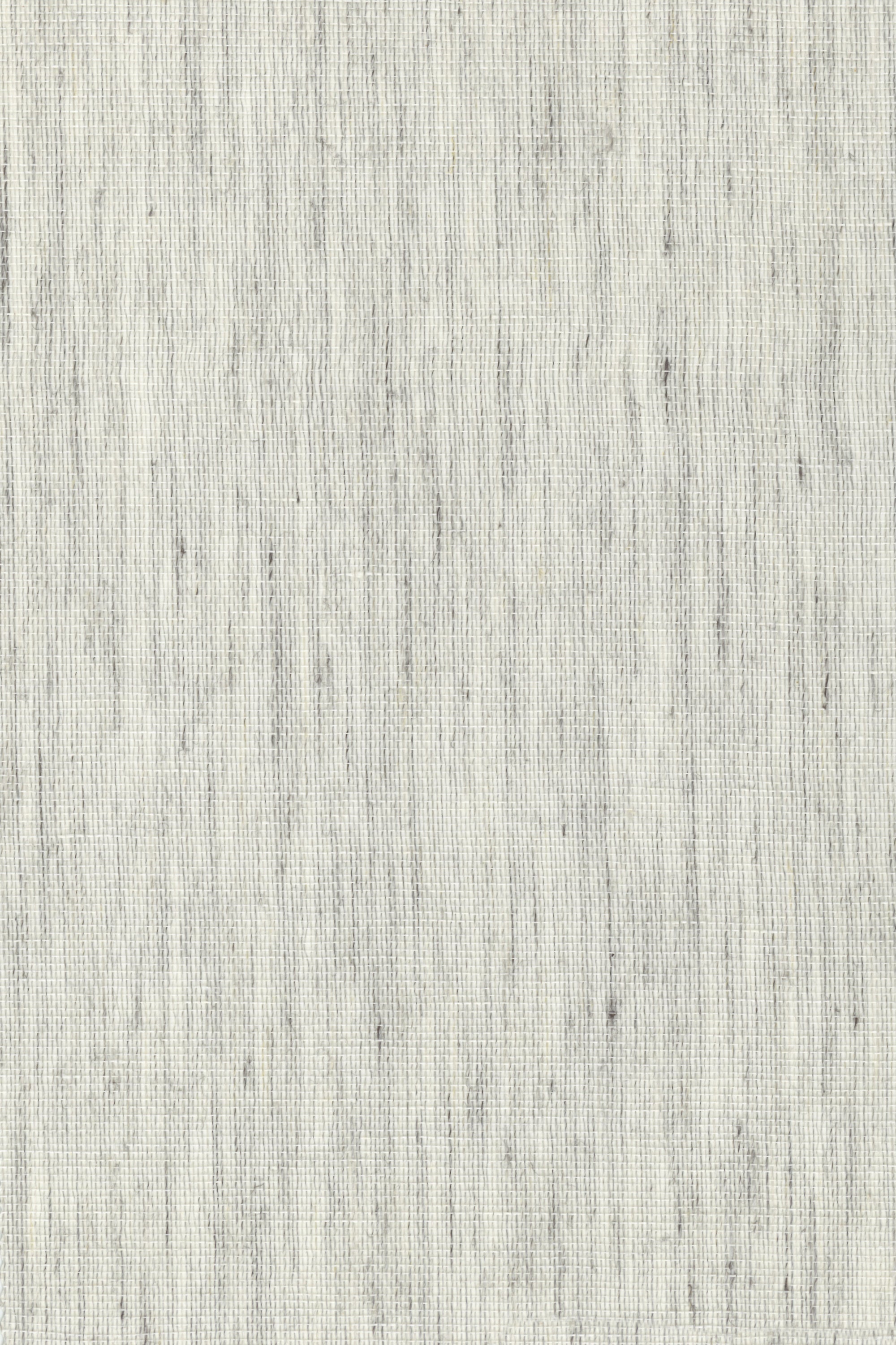 TF1241 Greyish White