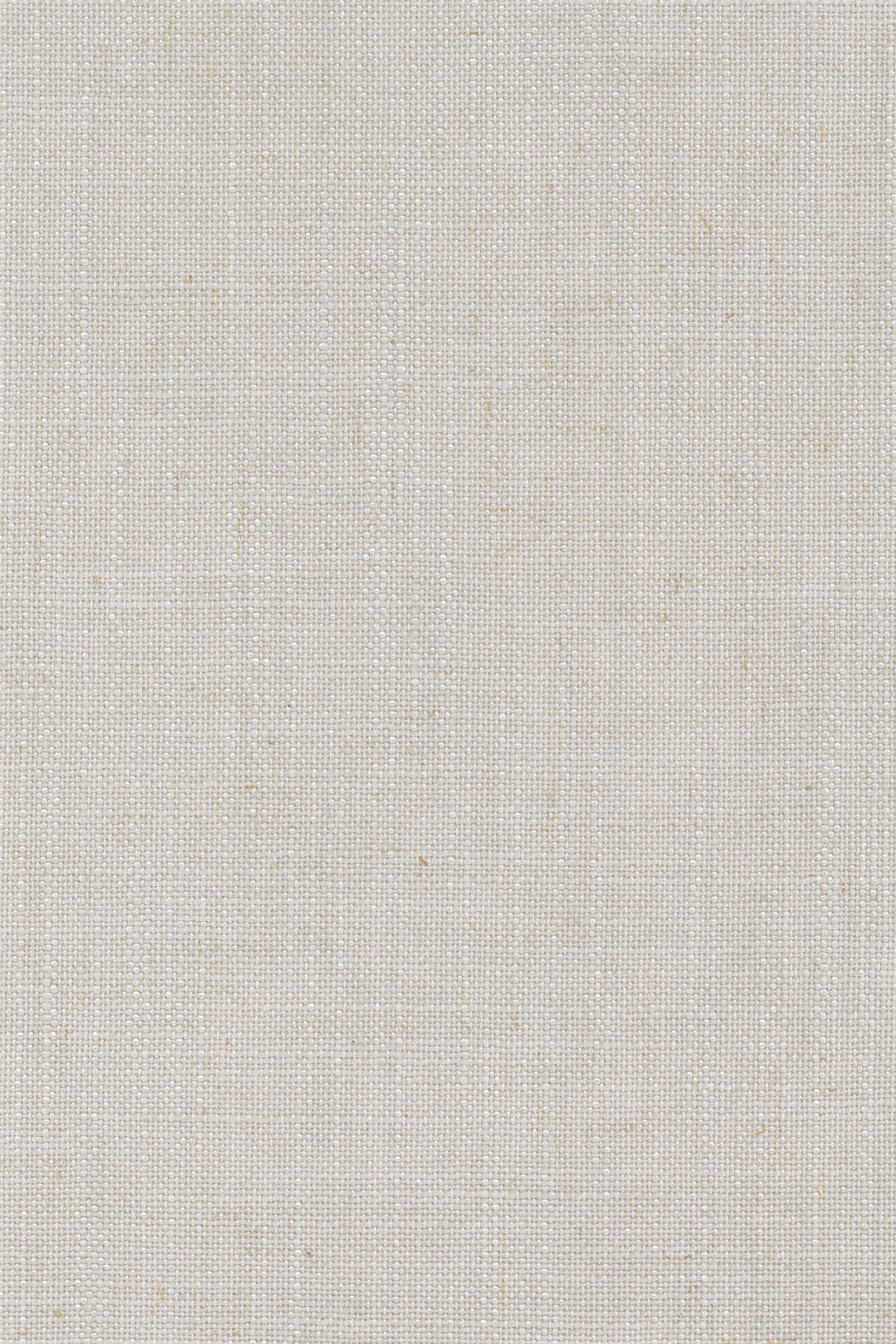 TF1305 Silver Birch
