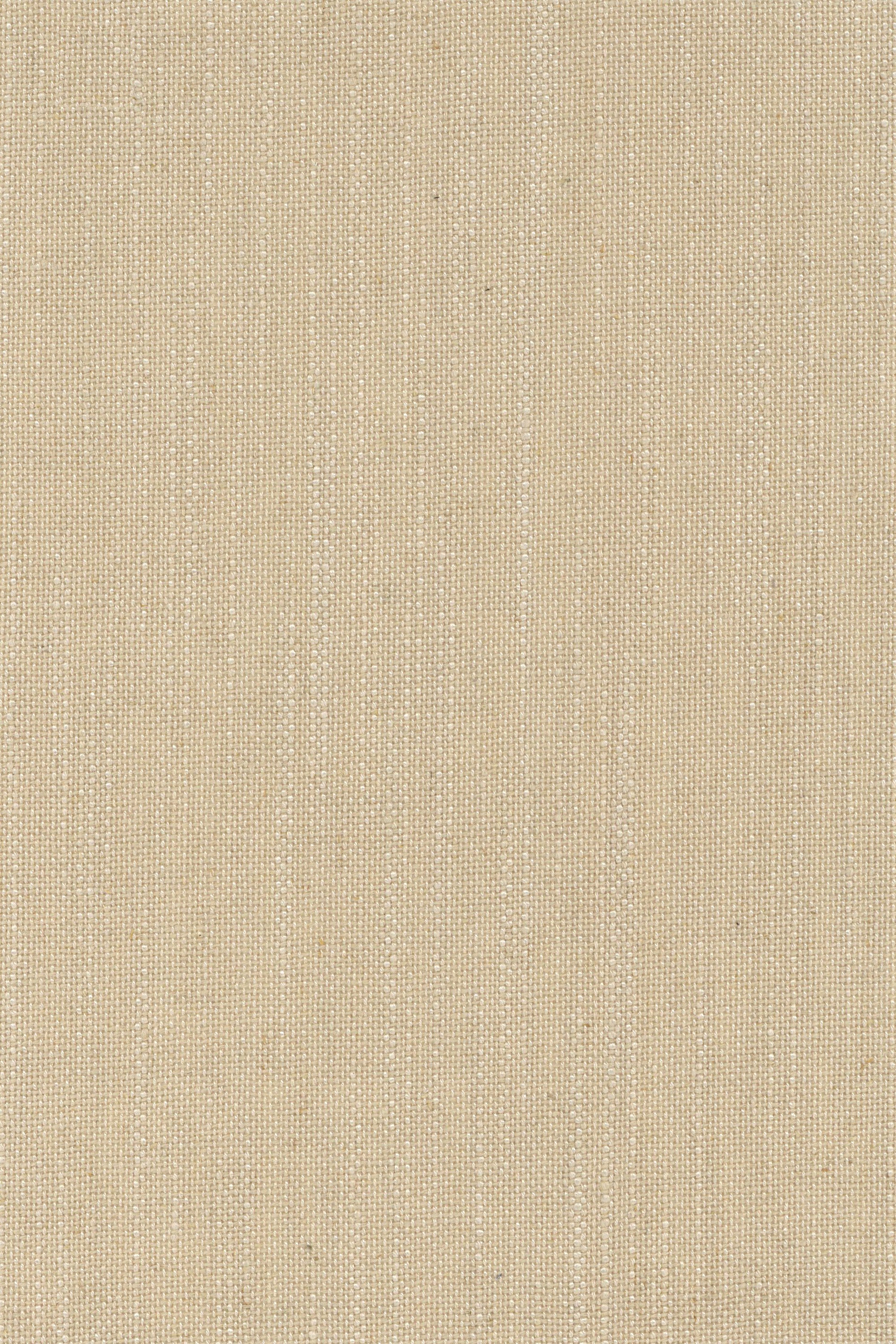 TF1313 Apricot