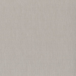TS2105 Cocoa Bean