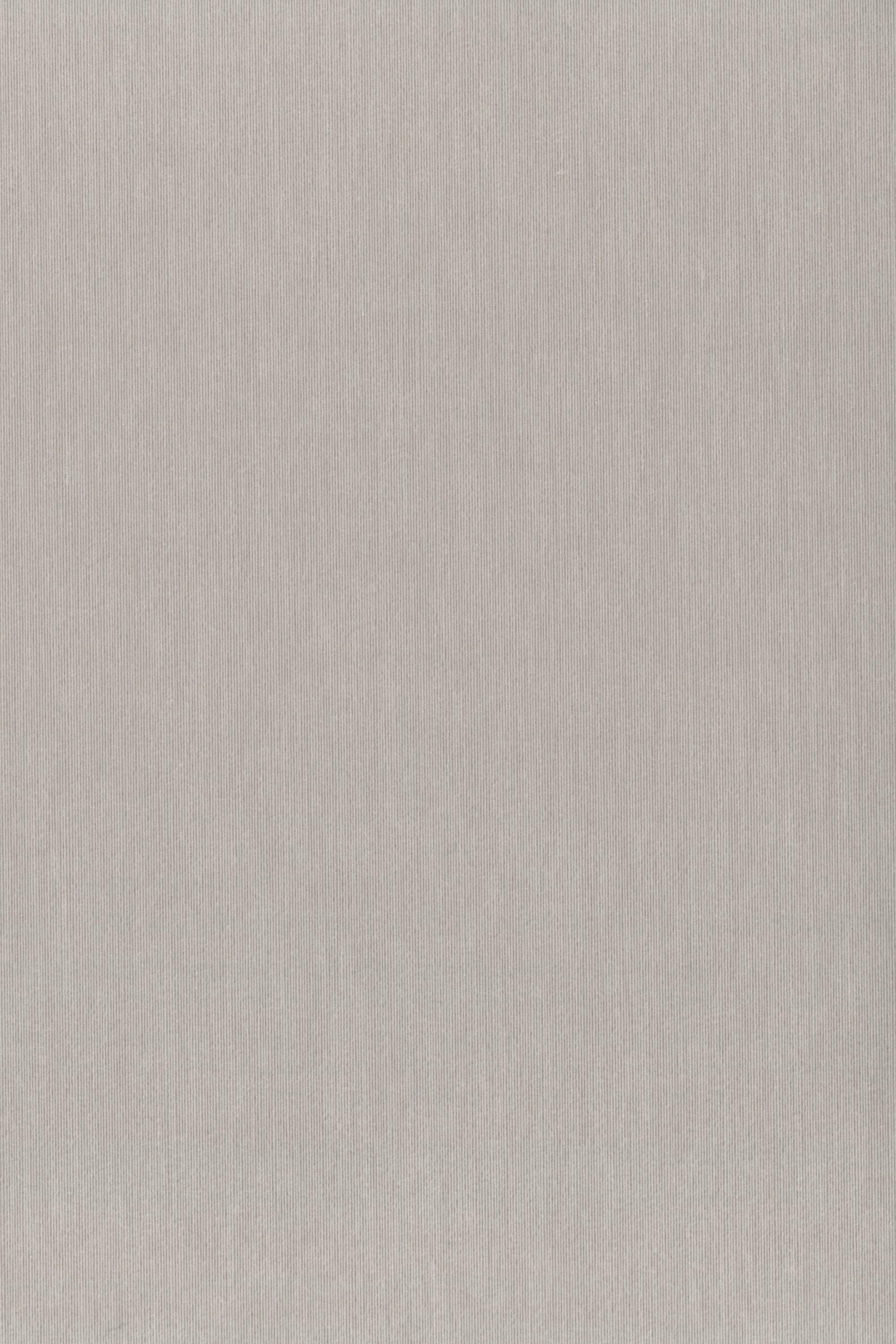 TS2105 Cocoa Bean